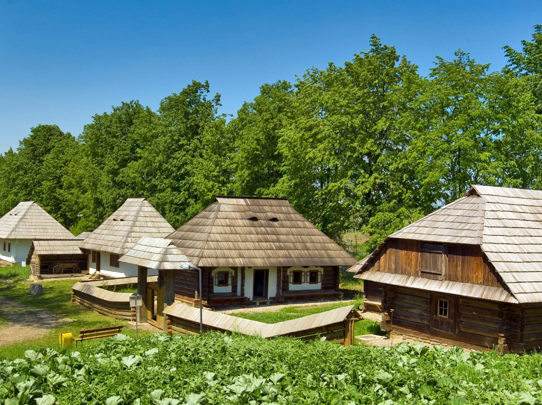 Bucovina Village Museum景点图片