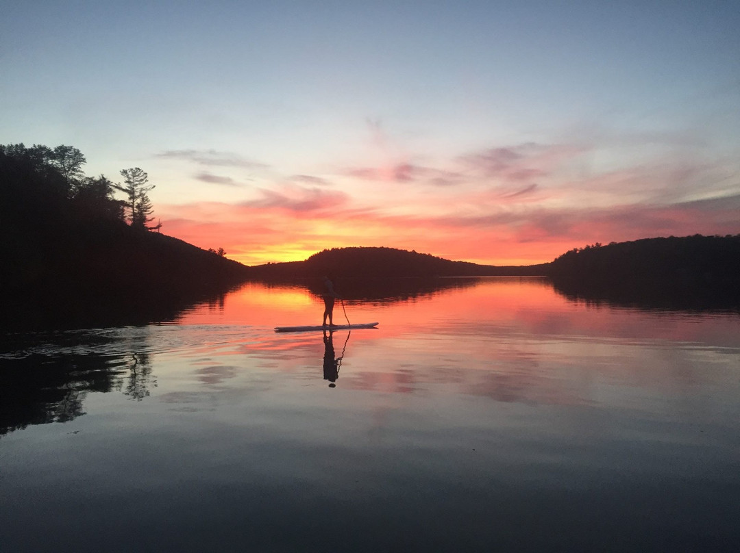 Paddlefit-Chelsea必去景点