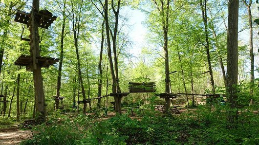 Grimpobranches-Witry-les-Reims必去景点
