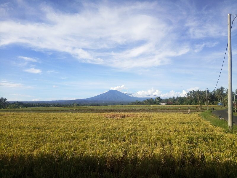Mount Batukaru-达巴南必去景点