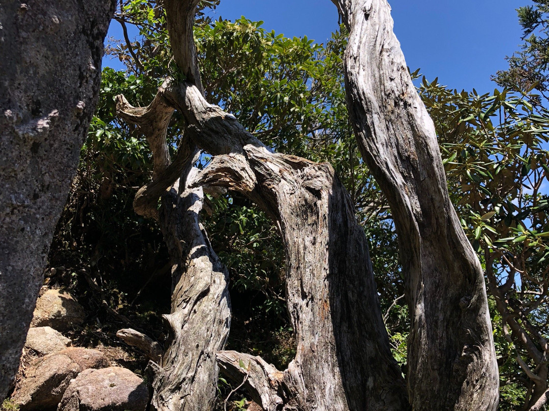 Mt. Tachudake景点图片