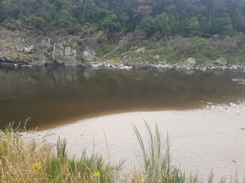 Outram Glen Scenic Reserve景点图片
