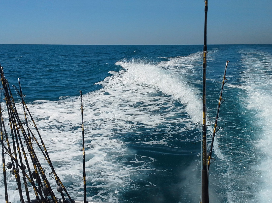 Reef Raider Fishing Charters-恩格尔伍德必去景点