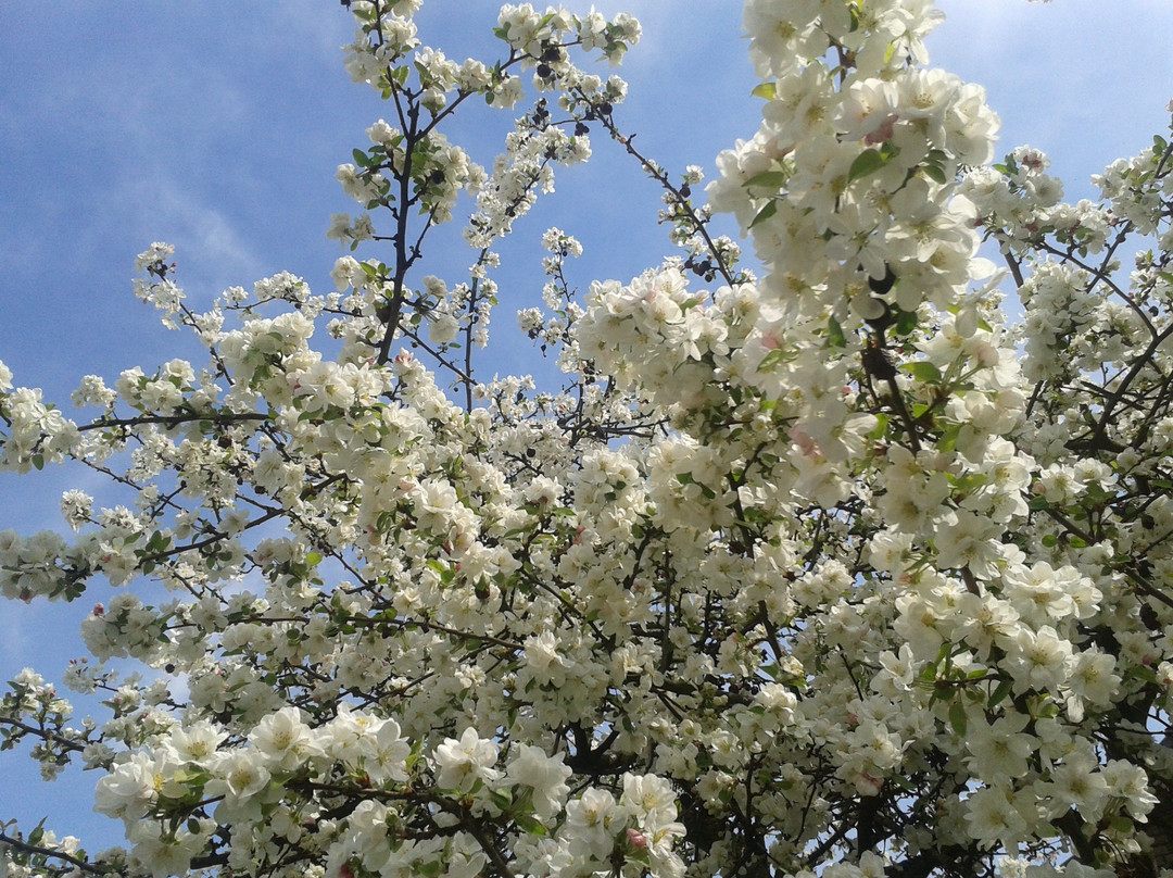 Obstweg Leichlingen景点图片