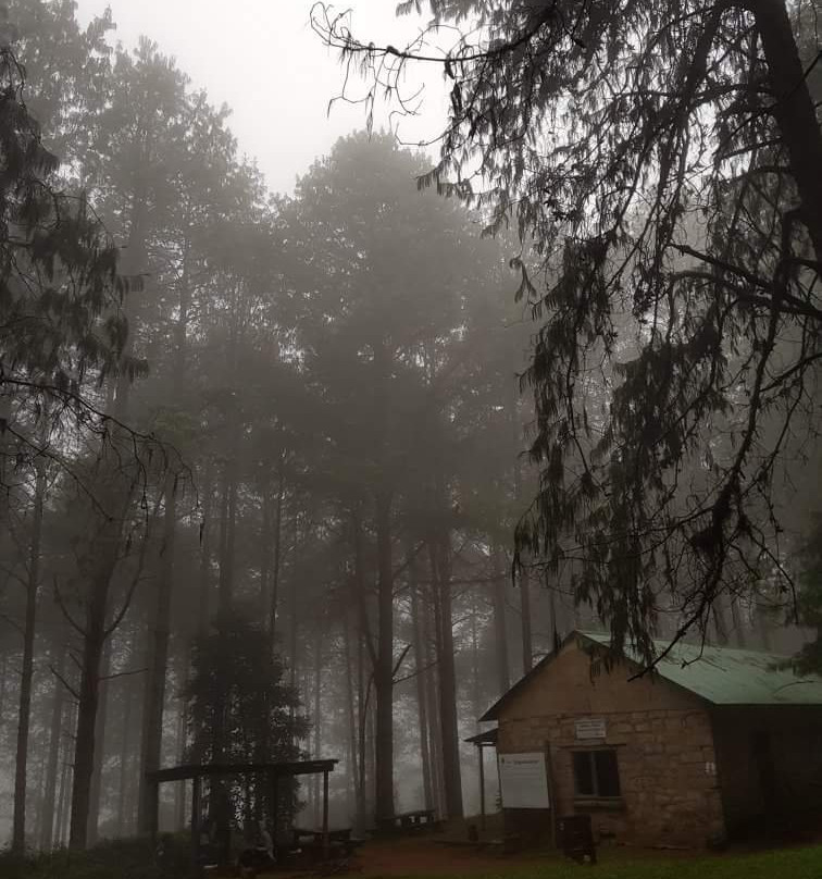 Magoebaskloof Hiking Trail-参宁必去景点