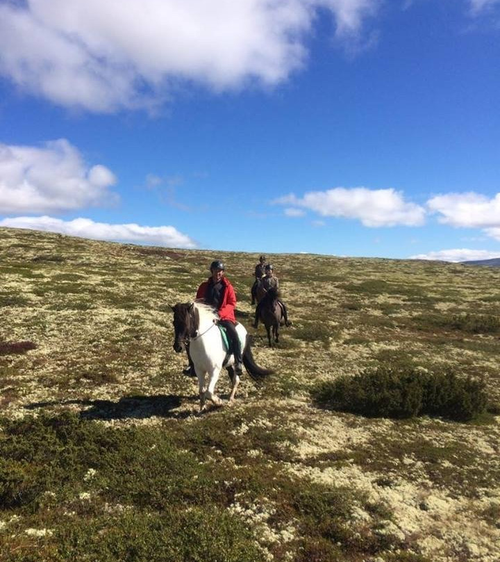 Rendalen Fjellridning-Rendalen Municipality必去景点