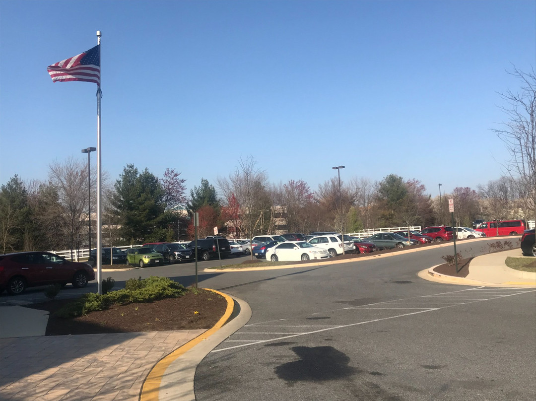 Residence Inn Largo Medical Center Drive主图