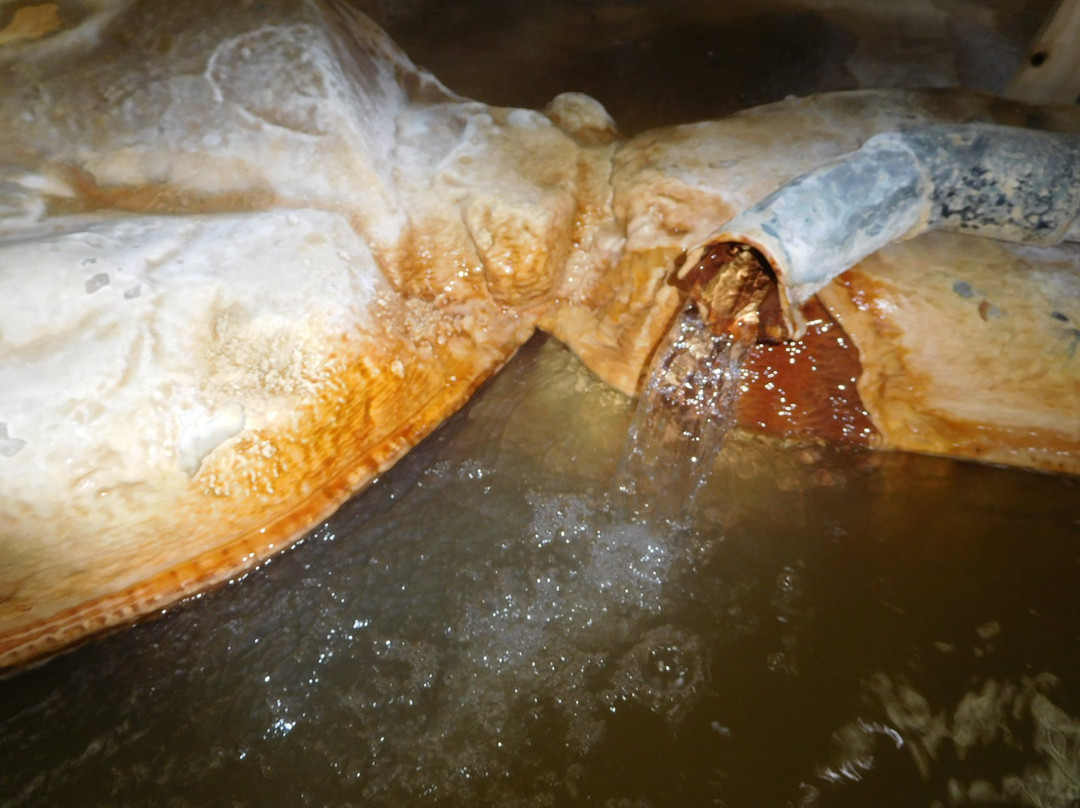 Masakari Onsen Park-垂水市必去景点