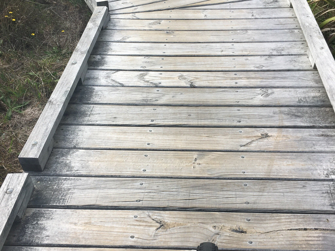 Cycle Inn-新普利默斯必去景点