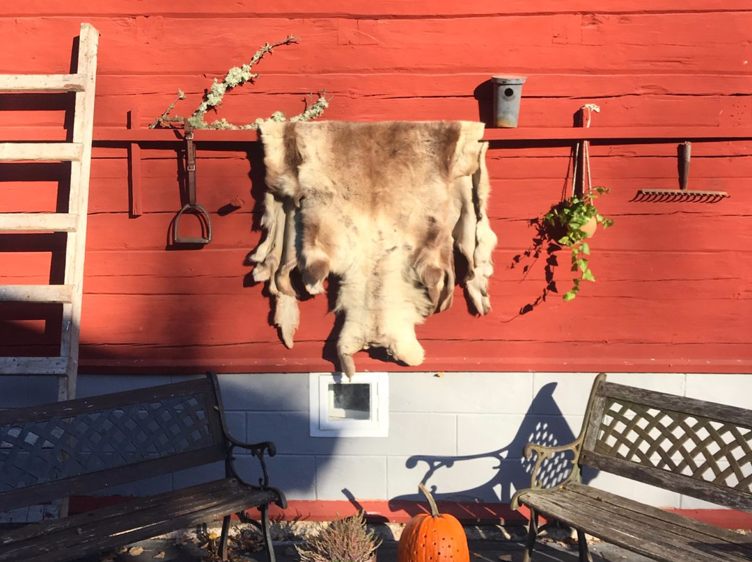 Visingso Pensionat主图