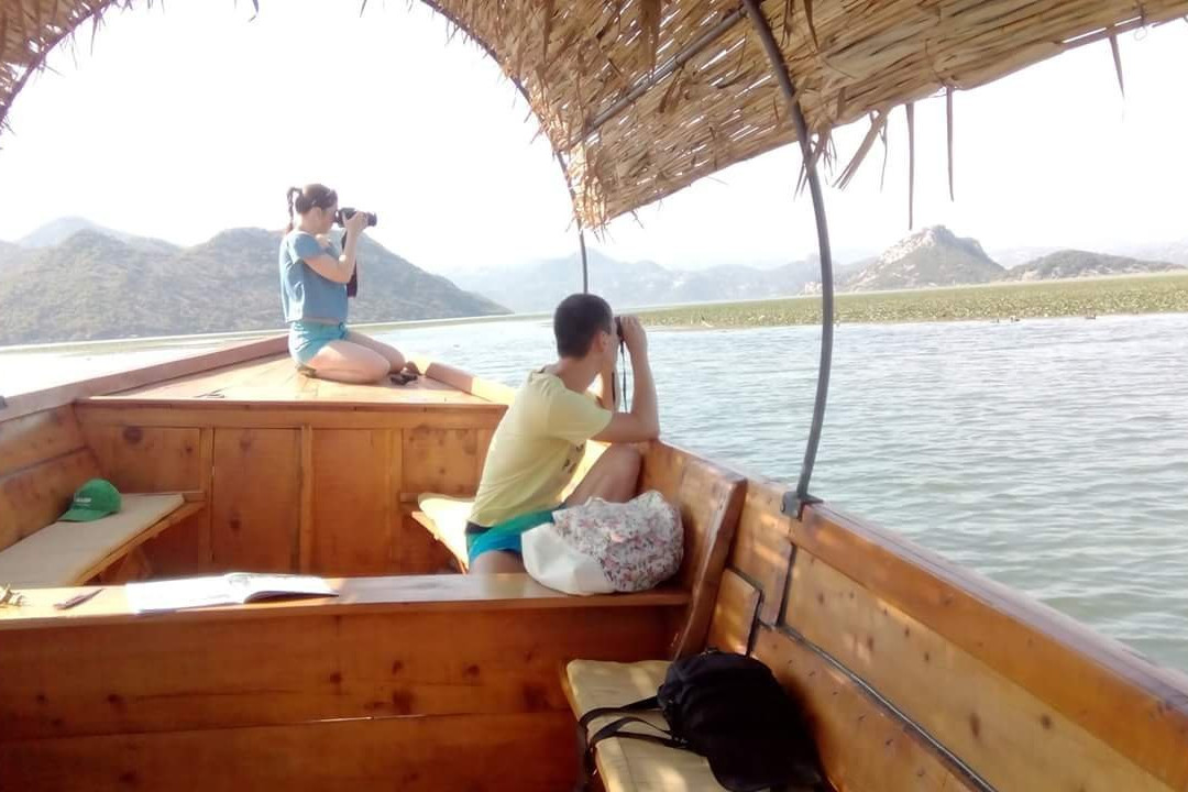 Kingfisher-维尔巴札拉必去景点