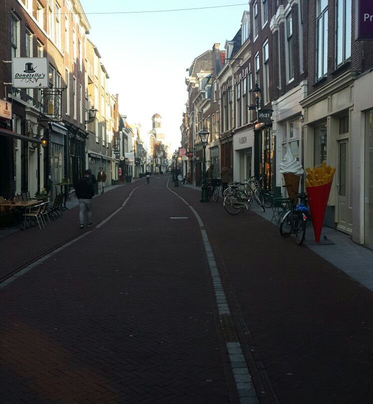 Old Observatory Leiden景点图片