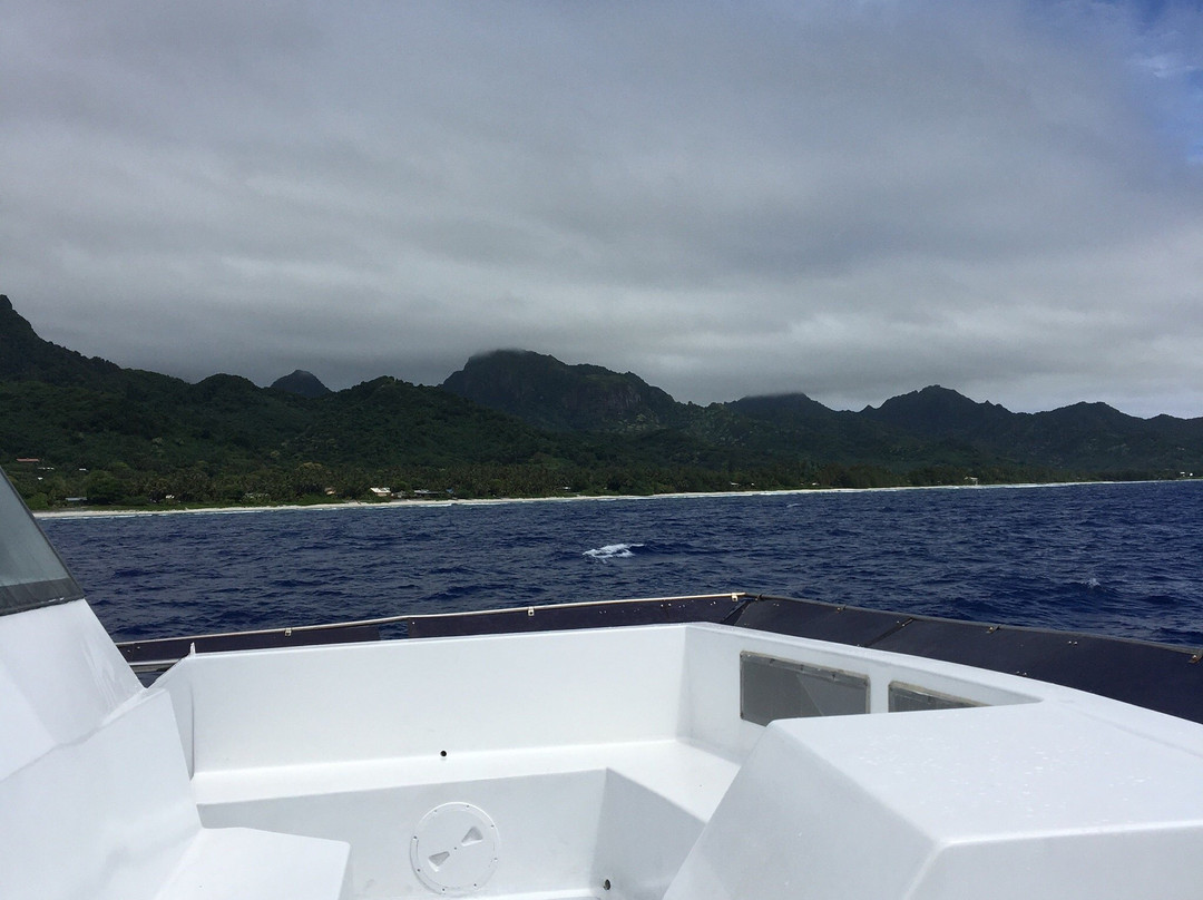Blue Water Tours-阿瓦鲁阿必去景点