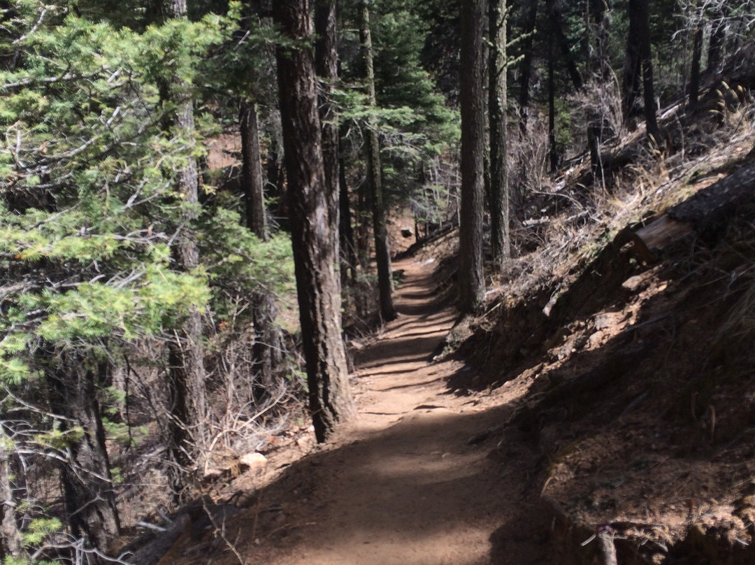 Santa Fe National Forest-新墨西哥必去景点