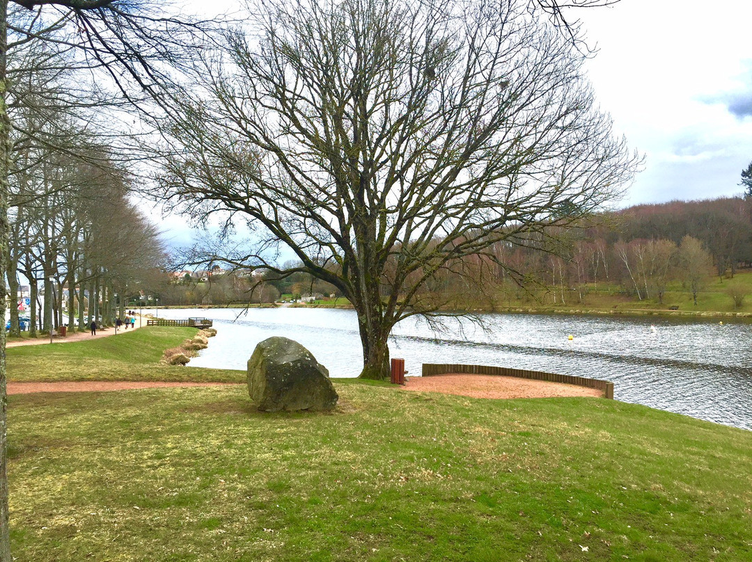 Etang de Courtille景点图片