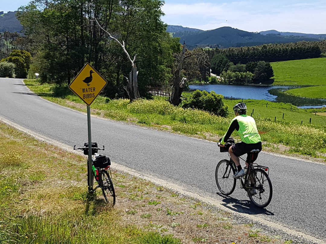 Australian Cycling Holidays景点图片