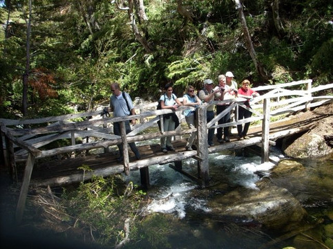 Inside Chile Tours-特木科必去景点