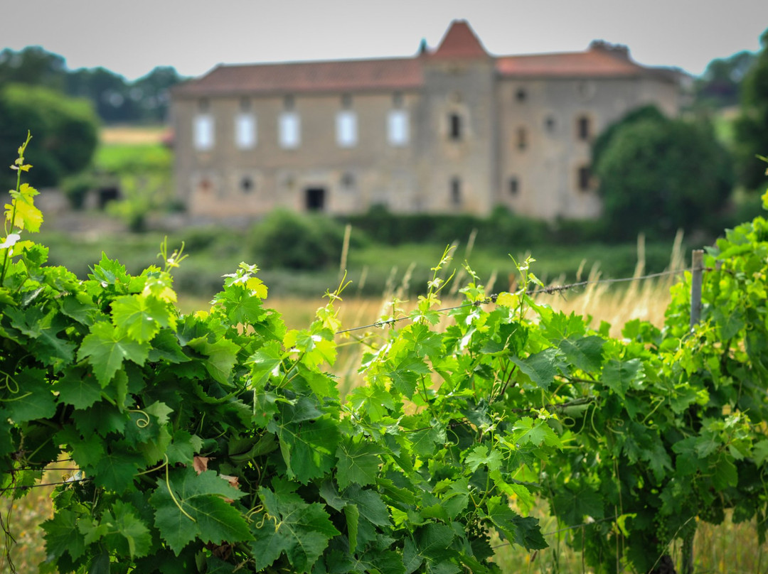Château Lacapelle Cabanac景点图片