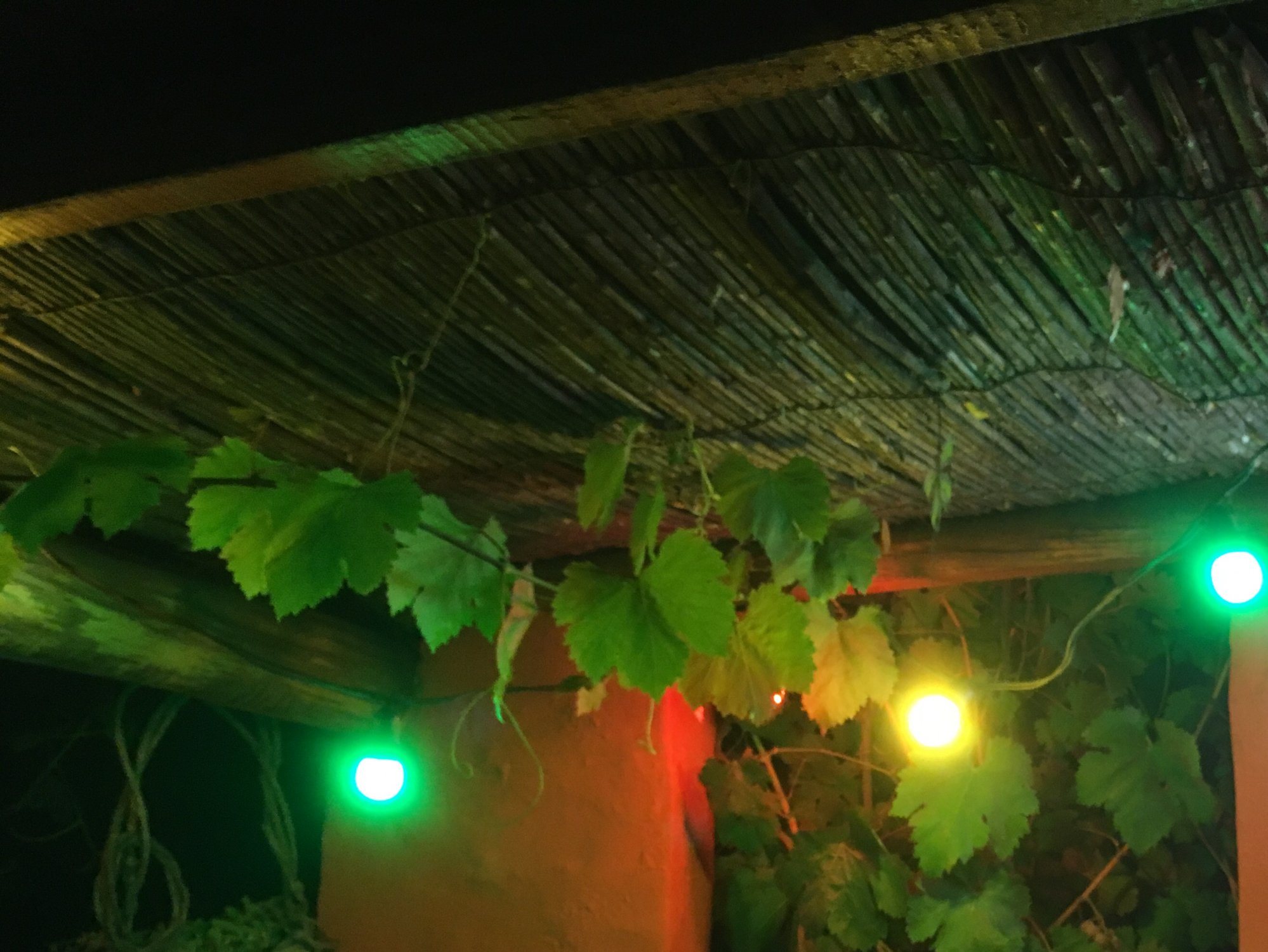 La Viñuela-官方