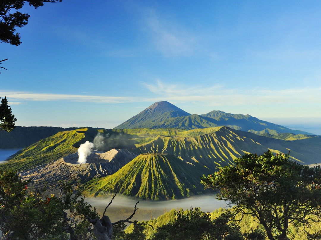Tour Mount Bromo-泗水必去景点