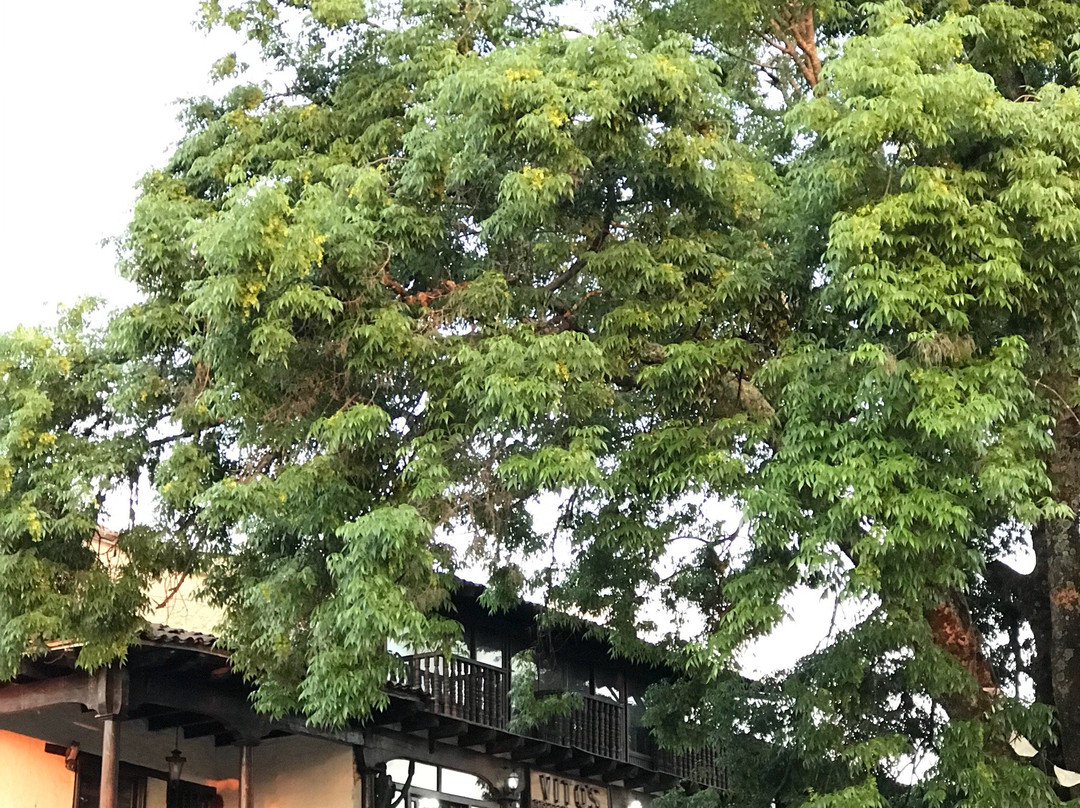 Plaza Municipal Jose Parres Arias-Mazamitla必去景点