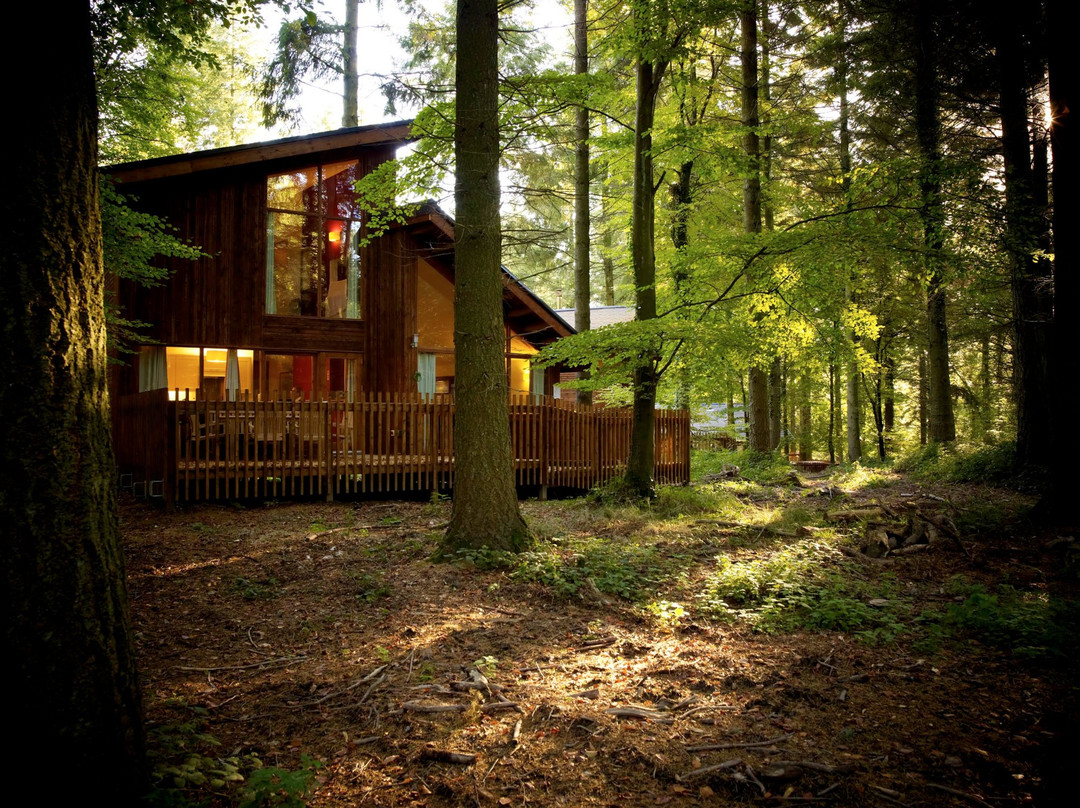 Forest Holidays Forest of Dean, Gloucestershire