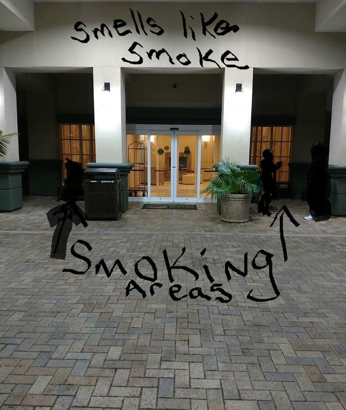 Homewood Suites by Hilton Tampa-Port Richey主图