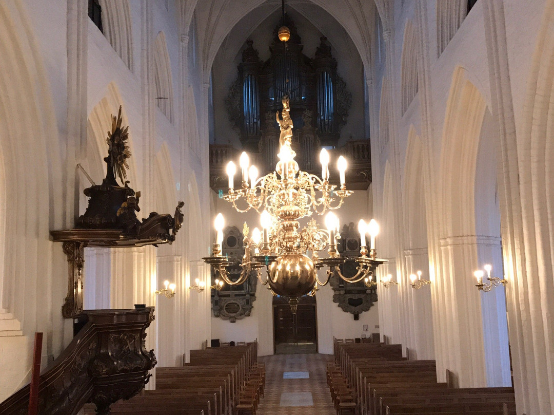 Odense Cathedral - Sct. Knuds Church景点图片