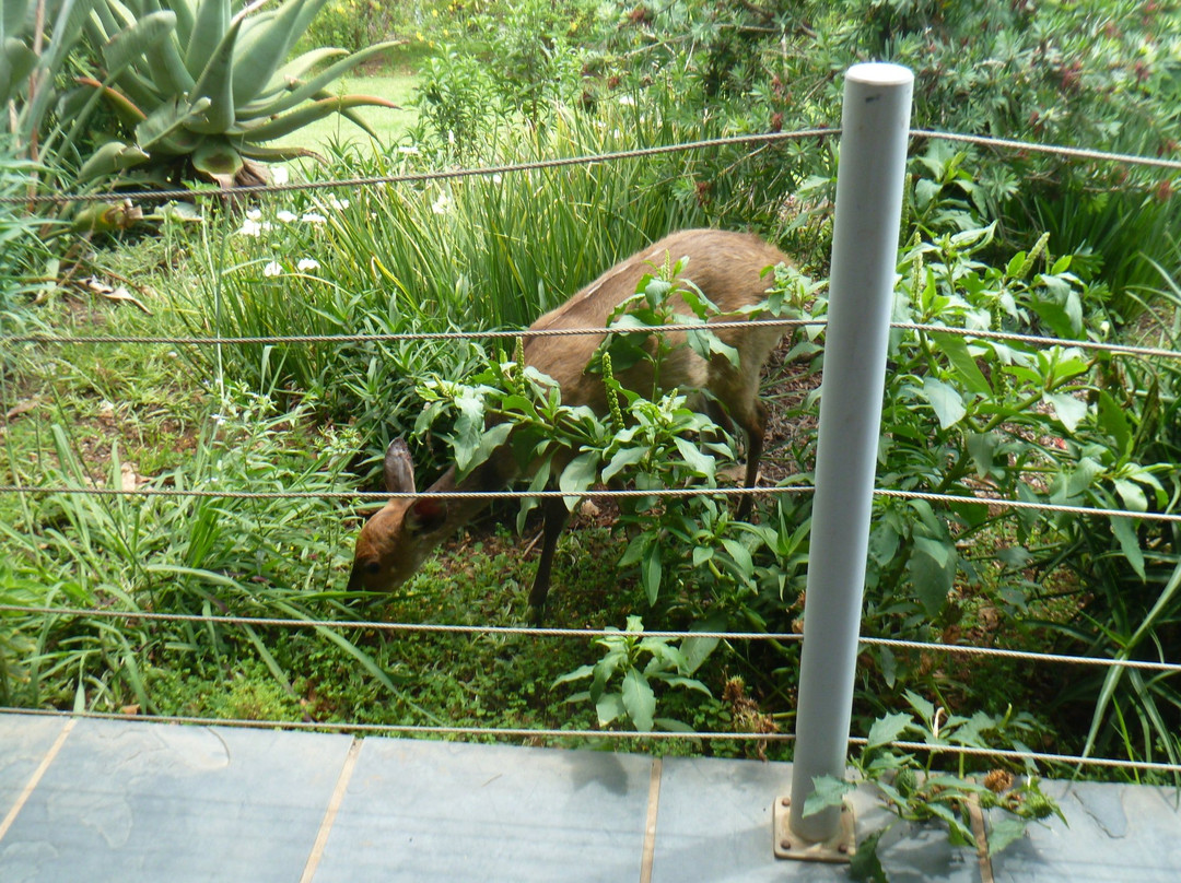 Cathedral Peak Hotel主图