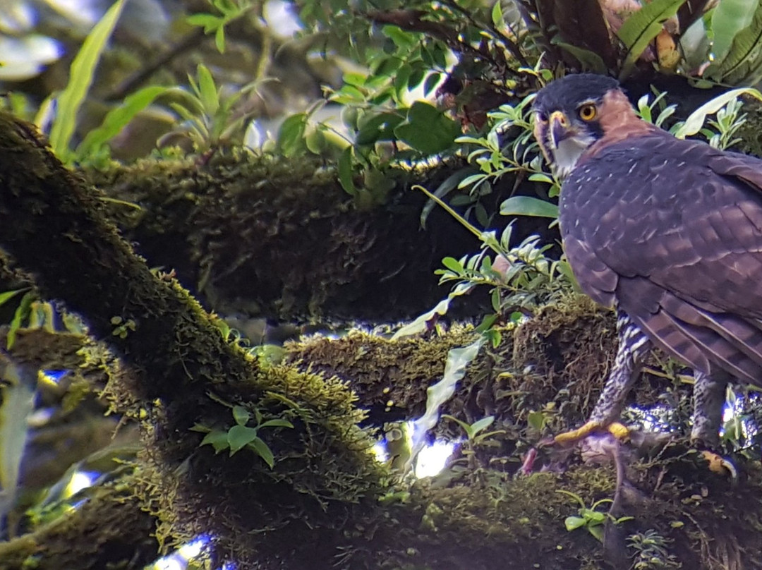 Costa Rica Wild Tours景点图片