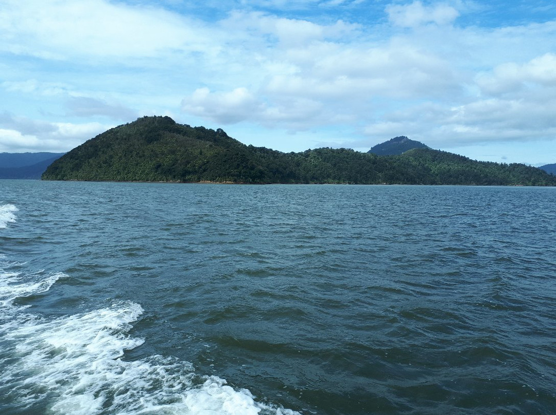 Pelorus Sound Water Taxi & Cruises景点图片