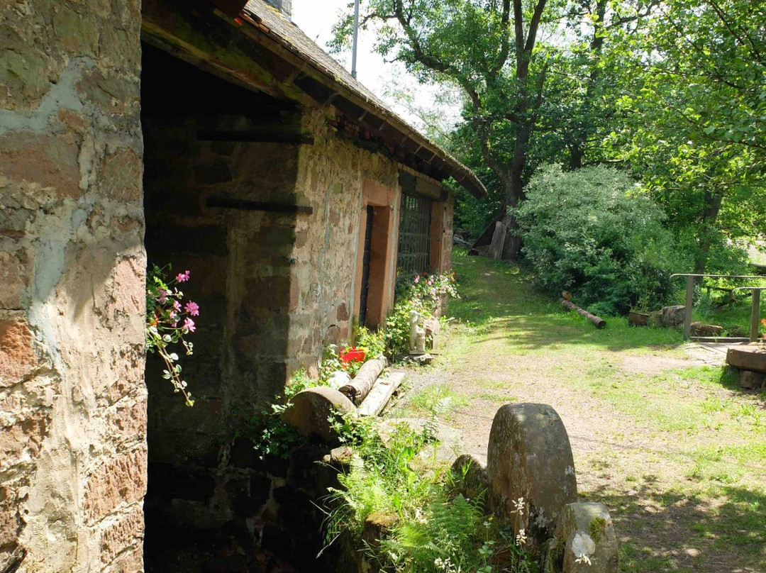 Gasthaus Schwert主图