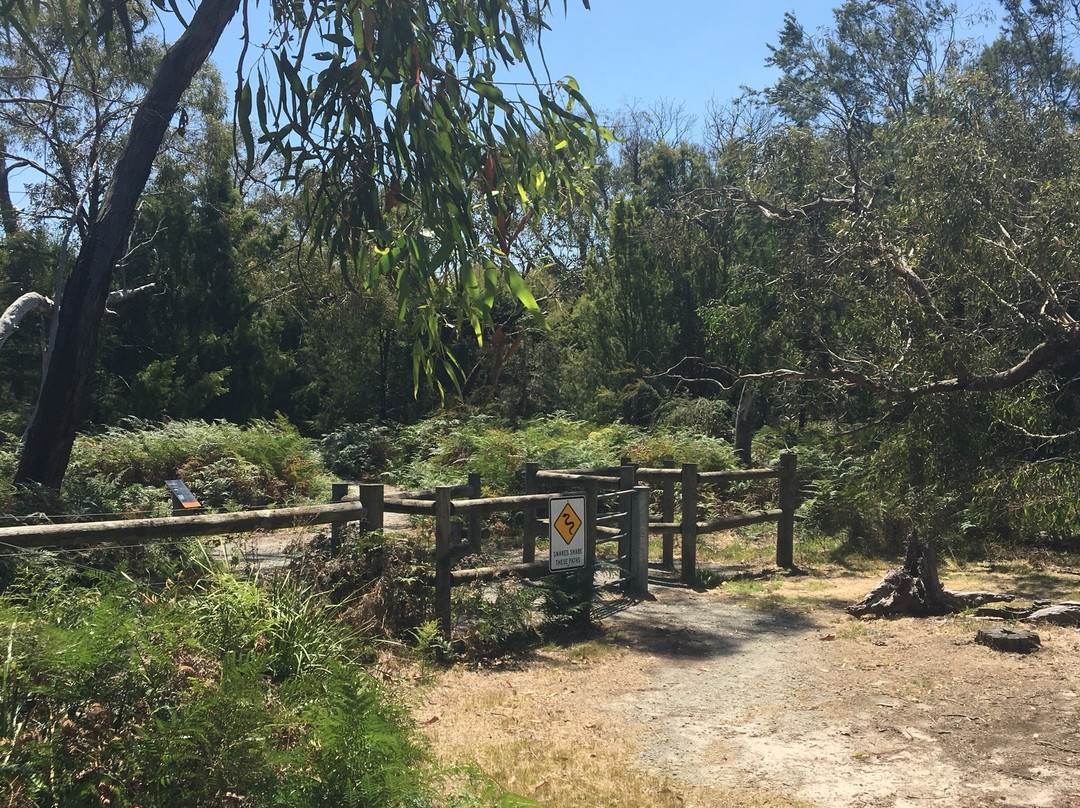 Colley st Bushland Reserve景点图片