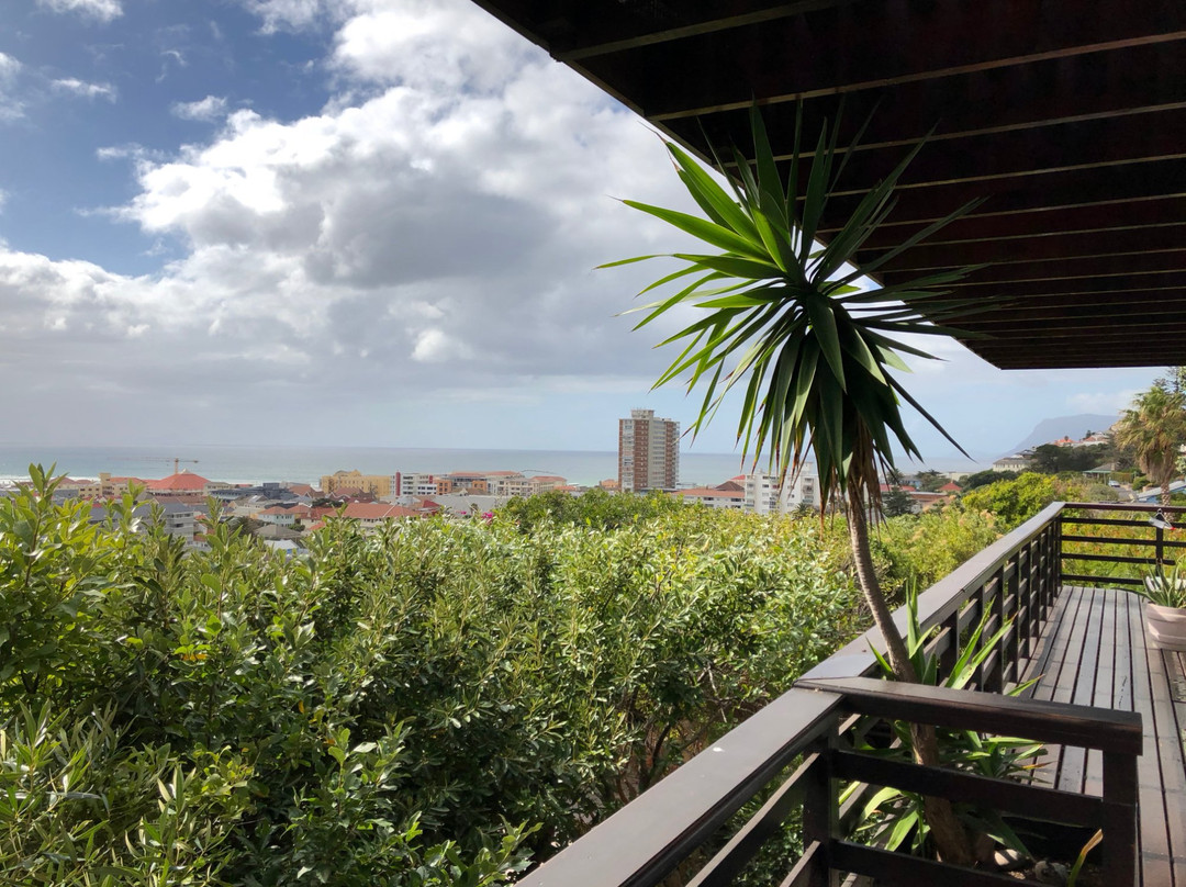 Bluebottle Guesthouse主图