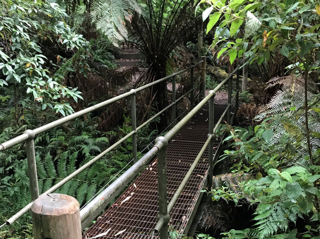 Uralla Nature Reserve景点图片