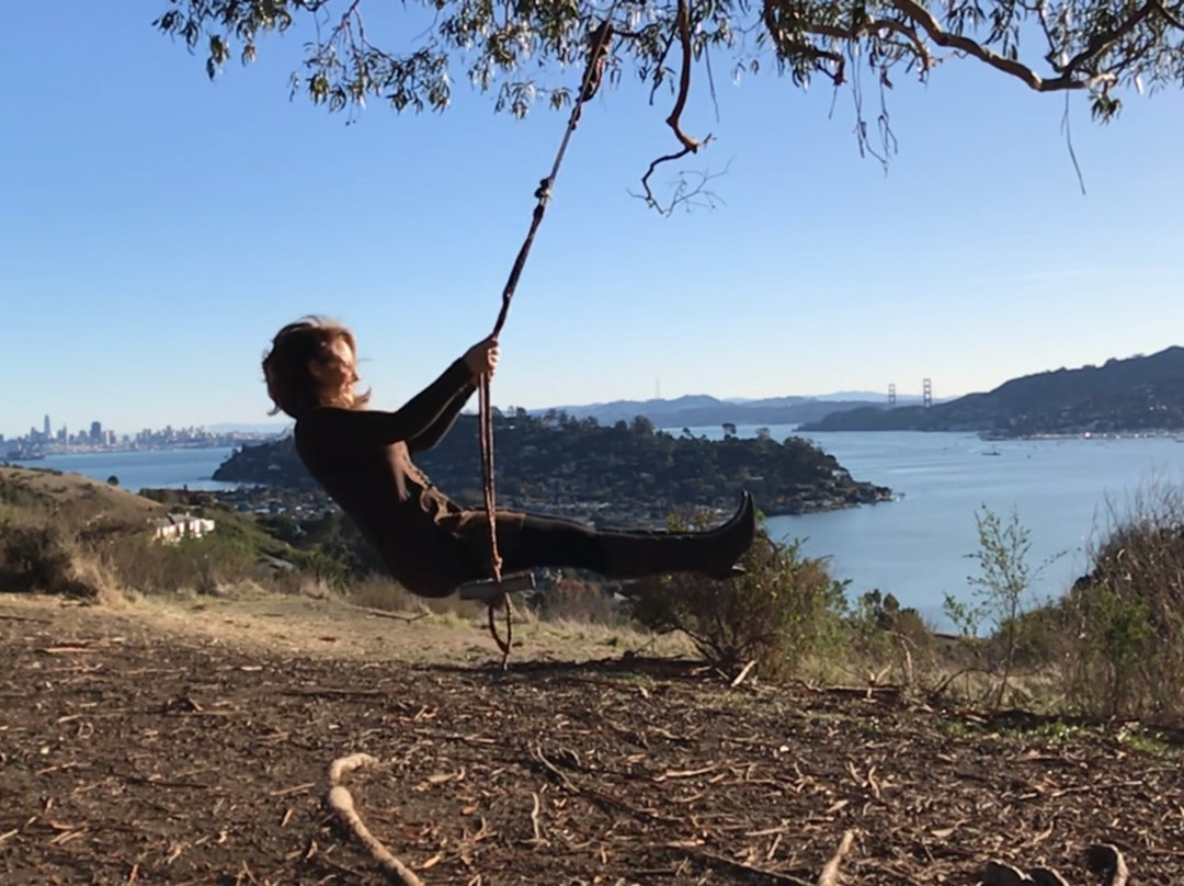 Hippie Tree景点图片