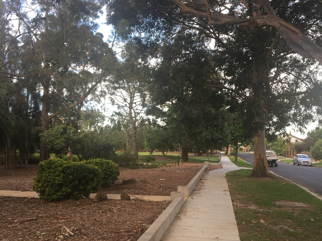 Halley Park景点图片