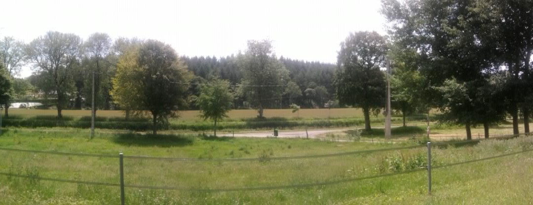 Les Anes Sont Dans le Pré主图