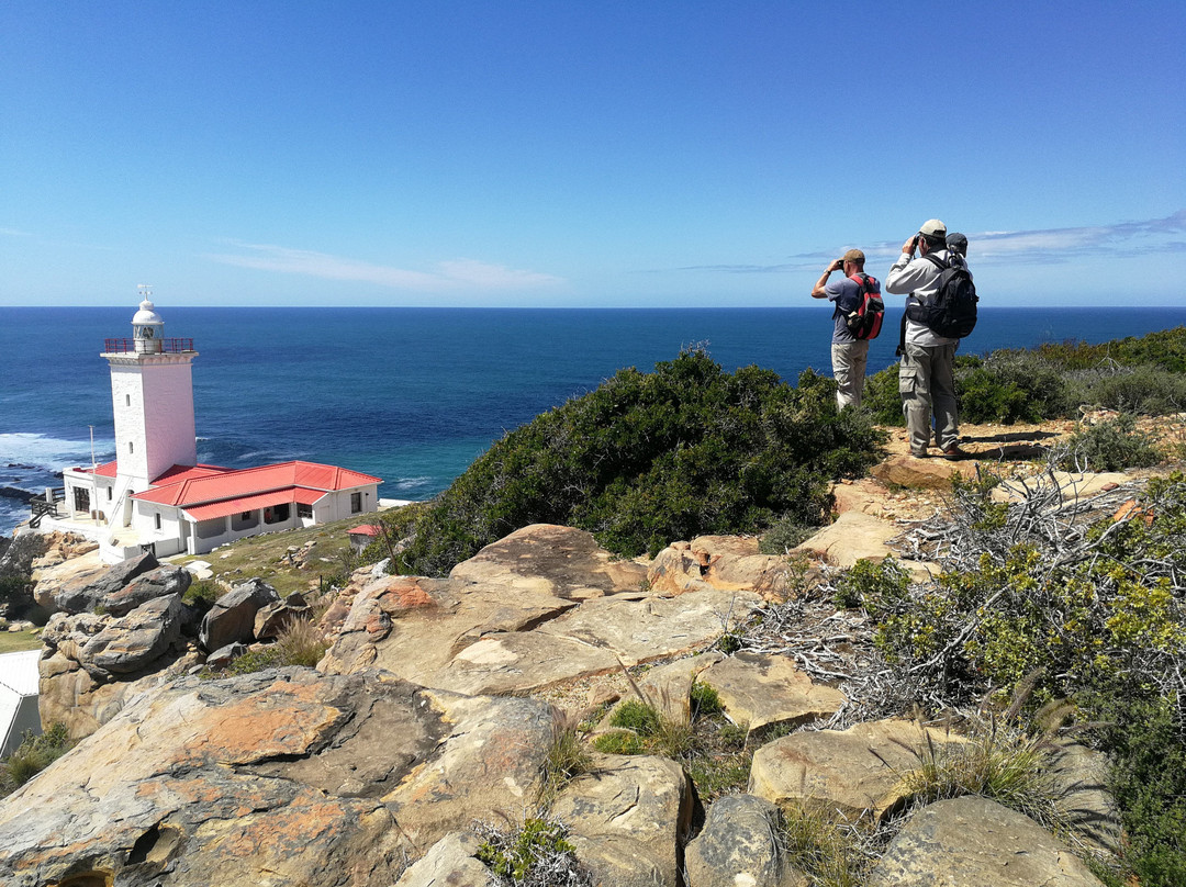 Point of Human Origins-莫塞尔贝必去景点