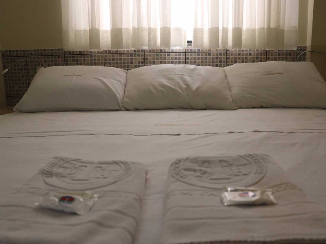 Turim Palace Hotel主图