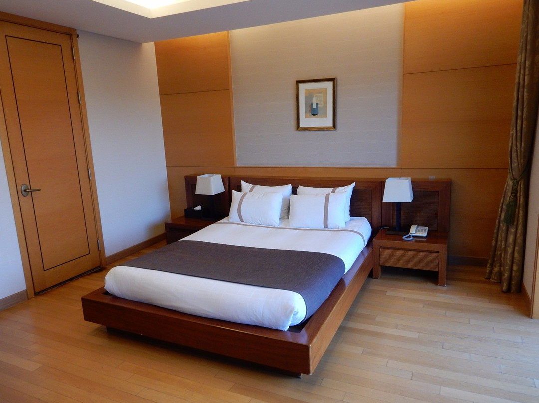 Hantan River Spa Hotel主图