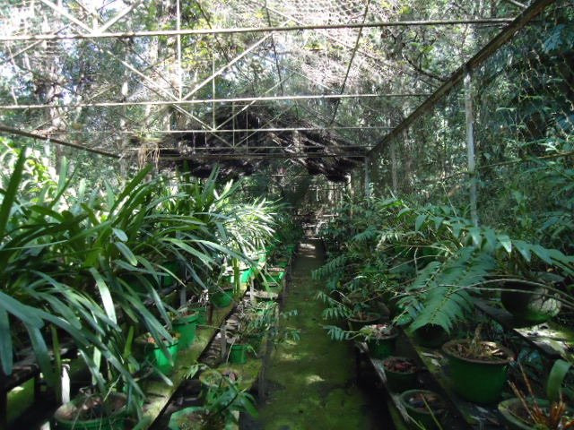 Khonghampat Orchidarium-因帕尔必去景点