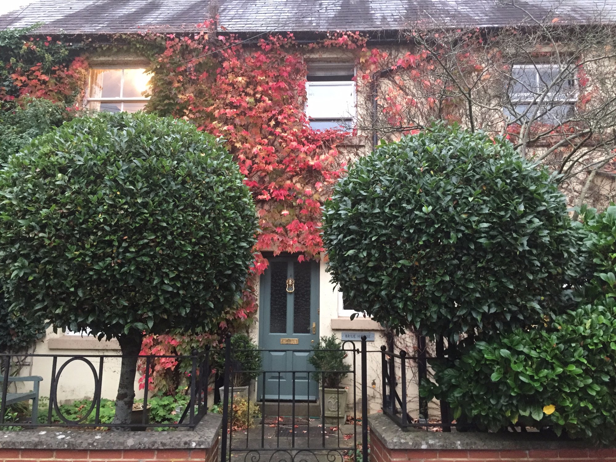 Brue House-官方