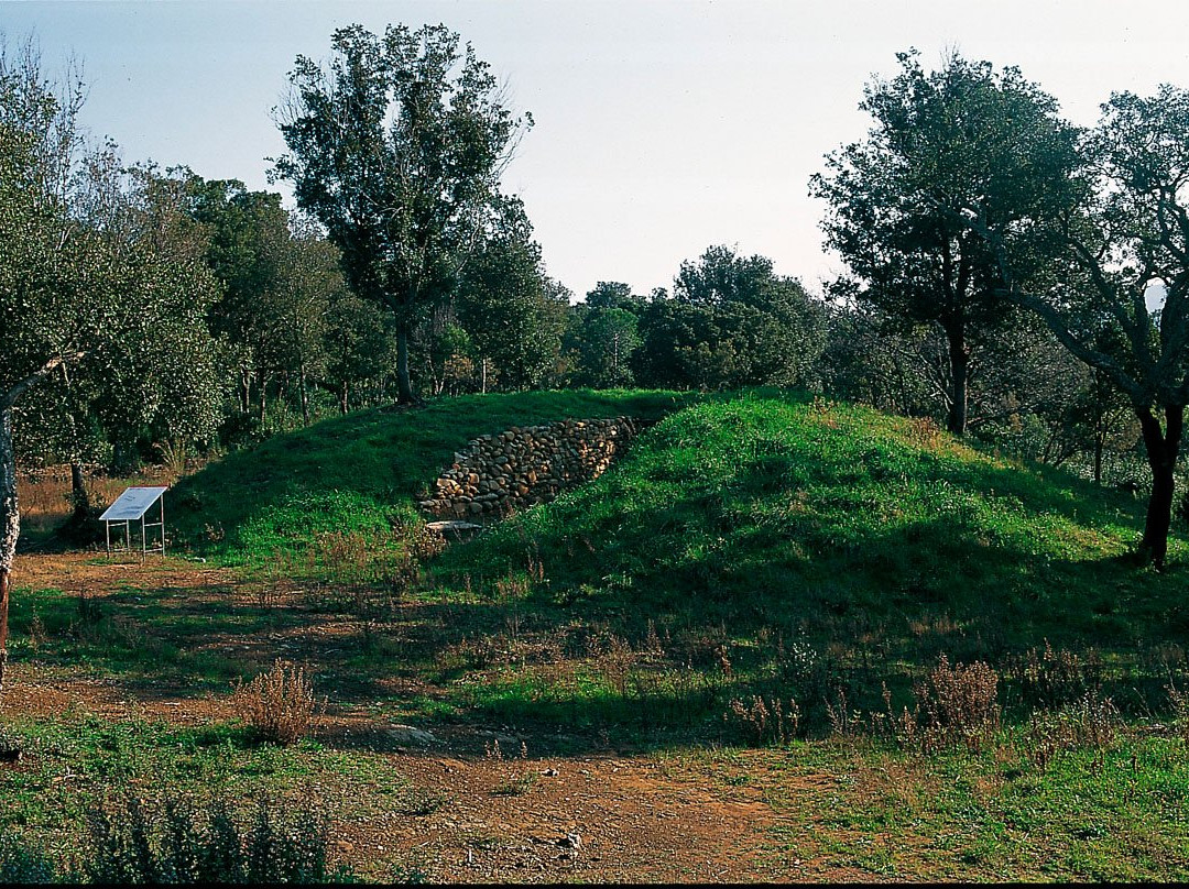 Area Archeologica Etrusca di Poggio Tondo景点图片