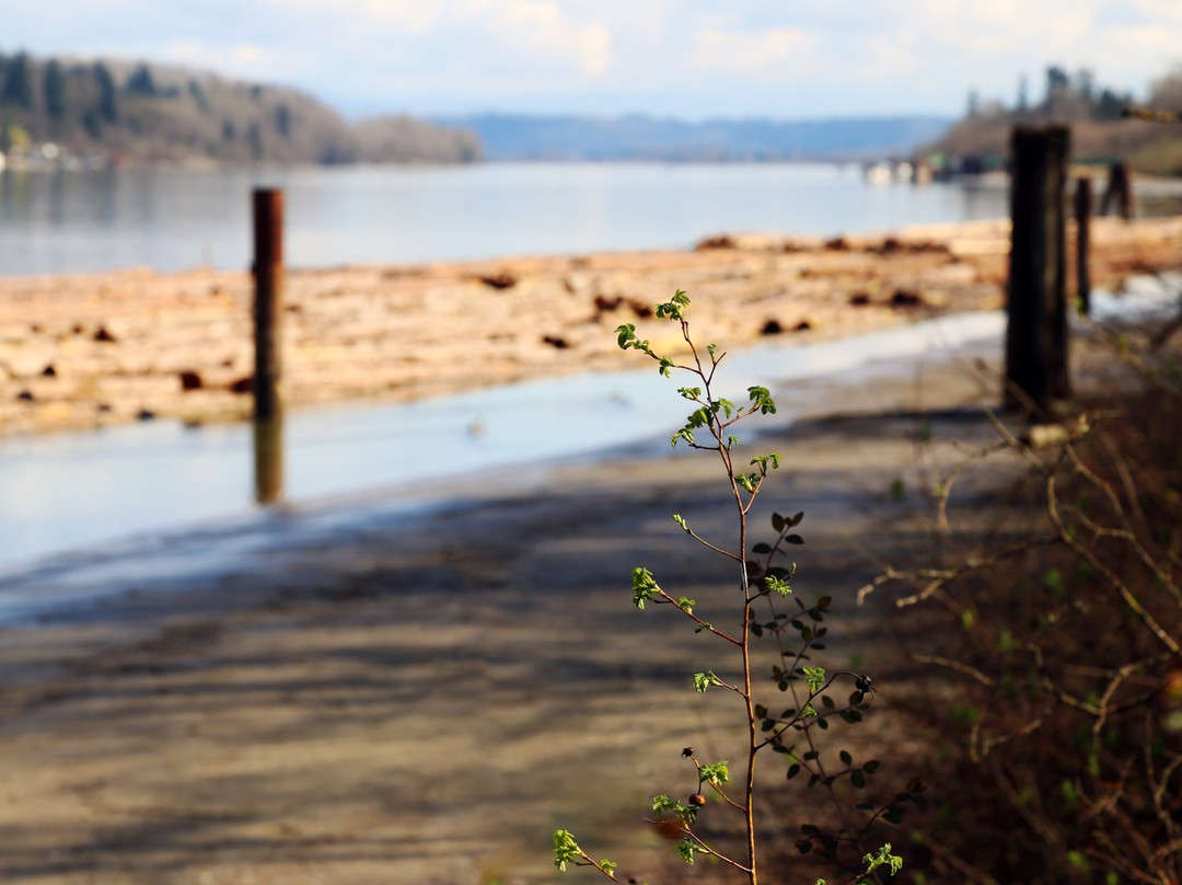 Brae Island Regional Park-Fort Langley必去景点
