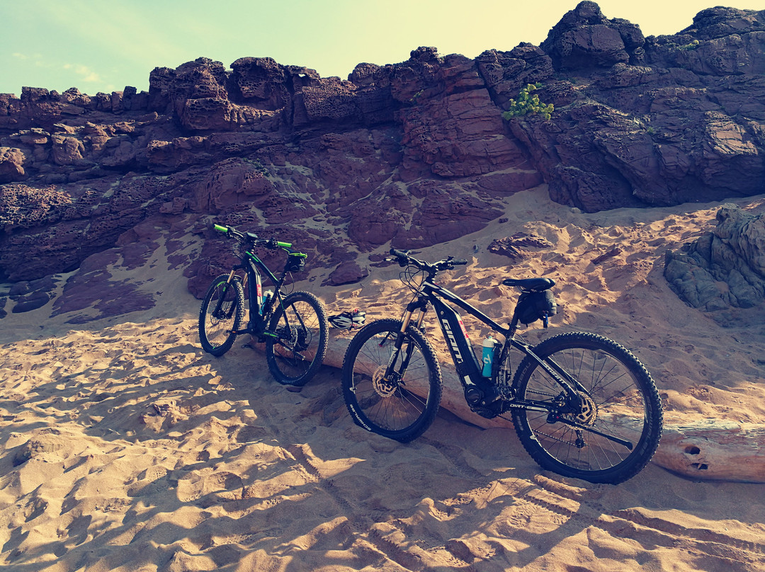 A Roda-阿拉约尔必去景点