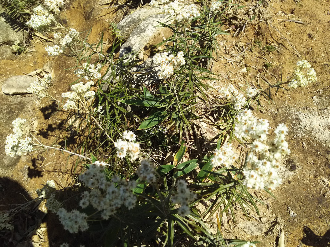 Mt. Dogo-庄原市必去景点