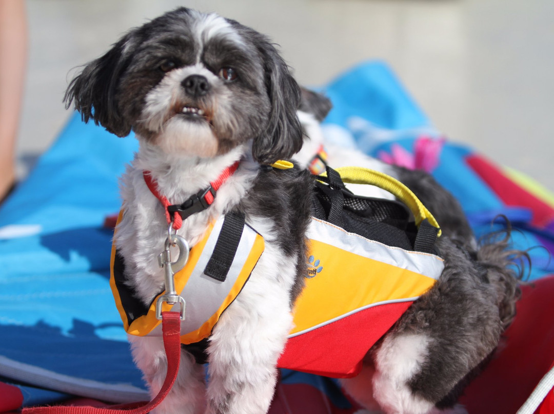 Boating in Boston-Hopkinton必去景点