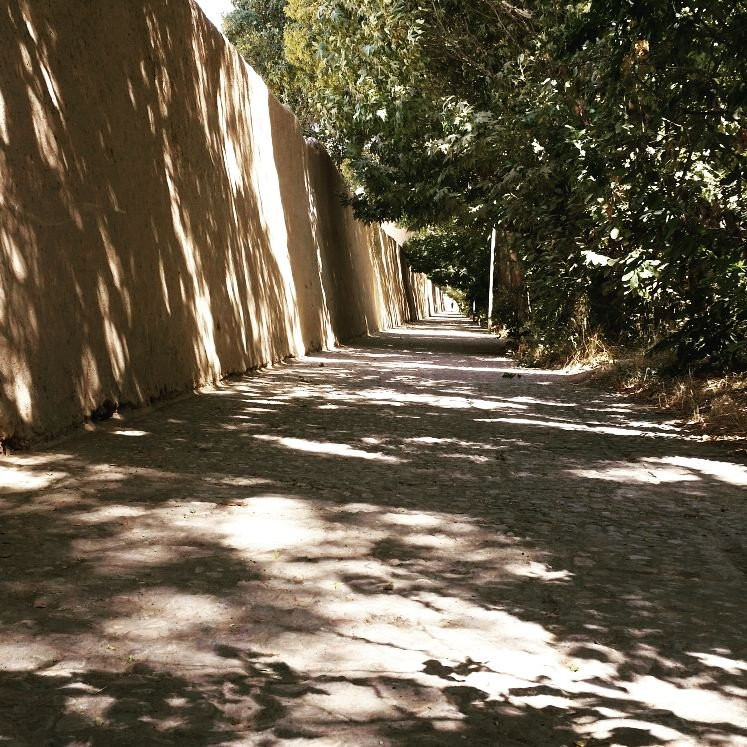Shazdeh Garden景点图片