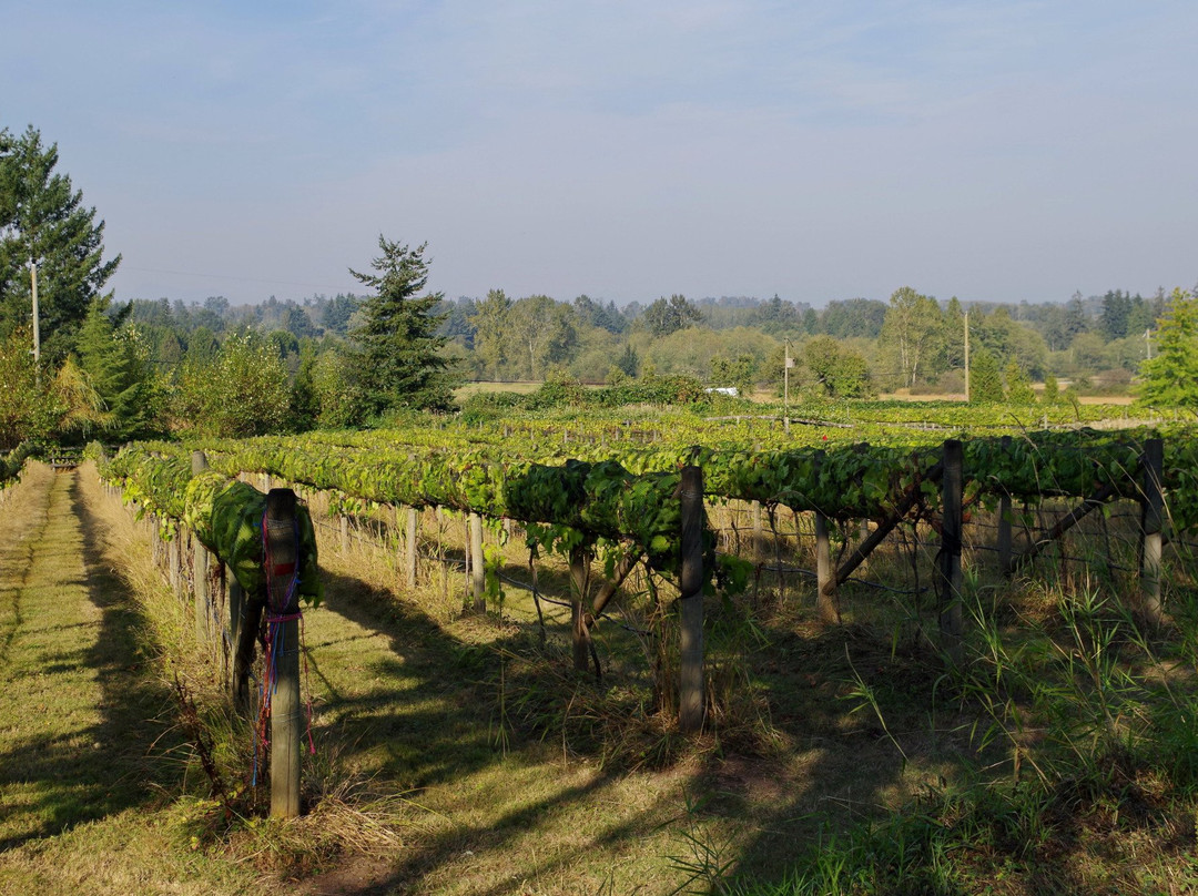 Vista D'oro Farms & Winery-Langley必去景点